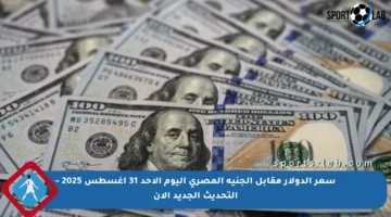 سعر الدولار مقابل الجنيه المصري اليوم الأحد 31 أغسطس 2025 – التحديث الجديد الآن
